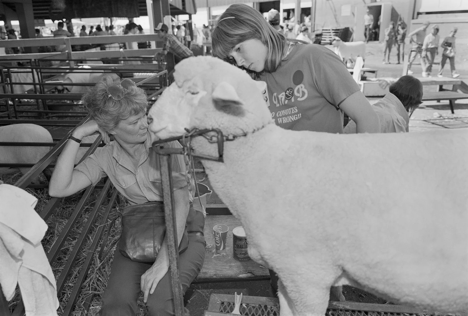 Moral I — Sergio Purtell